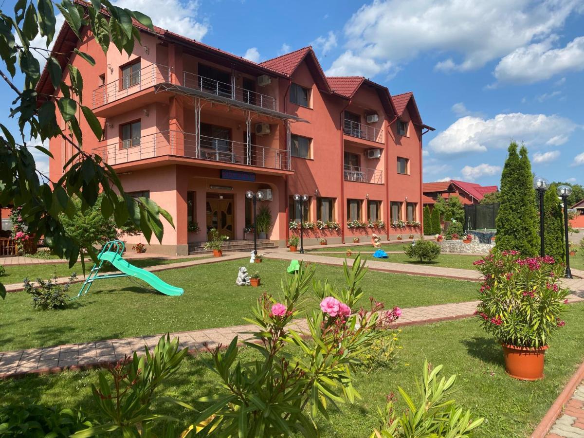 Pensiunea Viitorul Baia de Fier Exterior foto