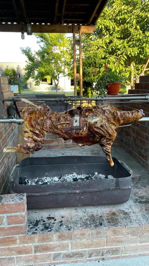 Pensiunea Viitorul Baia de Fier Exterior foto