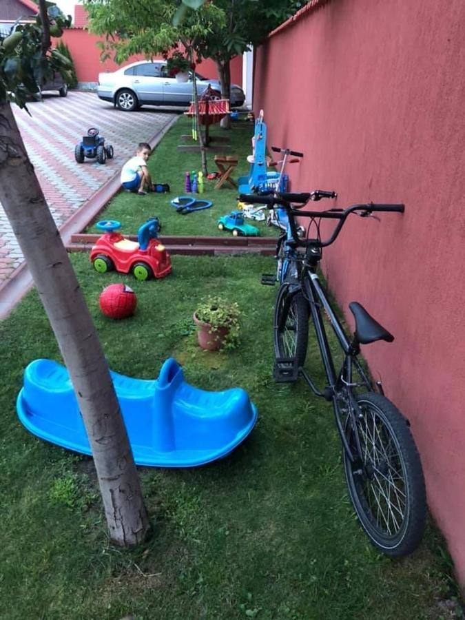 Pensiunea Viitorul Baia de Fier Exterior foto