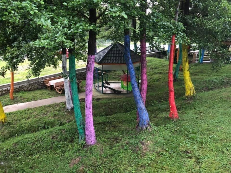Pensiunea Viitorul Baia de Fier Exterior foto