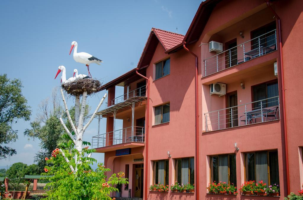 Pensiunea Viitorul Baia de Fier Exterior foto