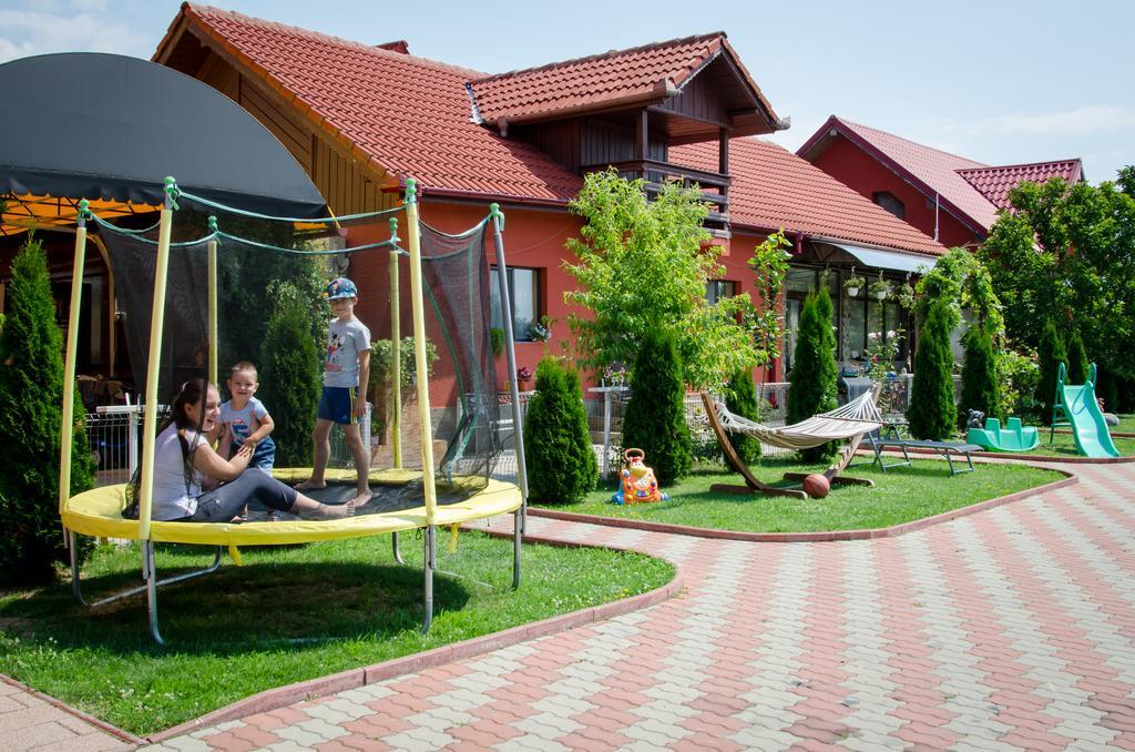 Pensiunea Viitorul Baia de Fier Exterior foto